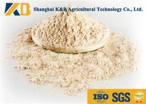 China No Agglomeration Or Mildew Brown Rice Powder For Pet Feeding Addictive wholesale