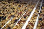 Automatic Sesame Candy Energy Bar Peanut Candy Bar Chocolate Bar Making Machine