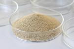 Food Grade Xylanase Food Enzymes Xylanase For Food Processing Industries