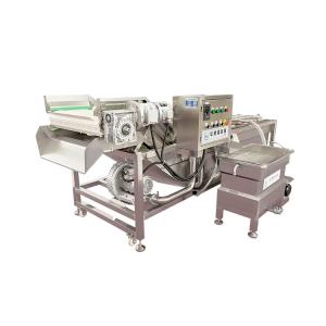 China Cherry Tomato Screw Sand Washing Machine Japan wholesale