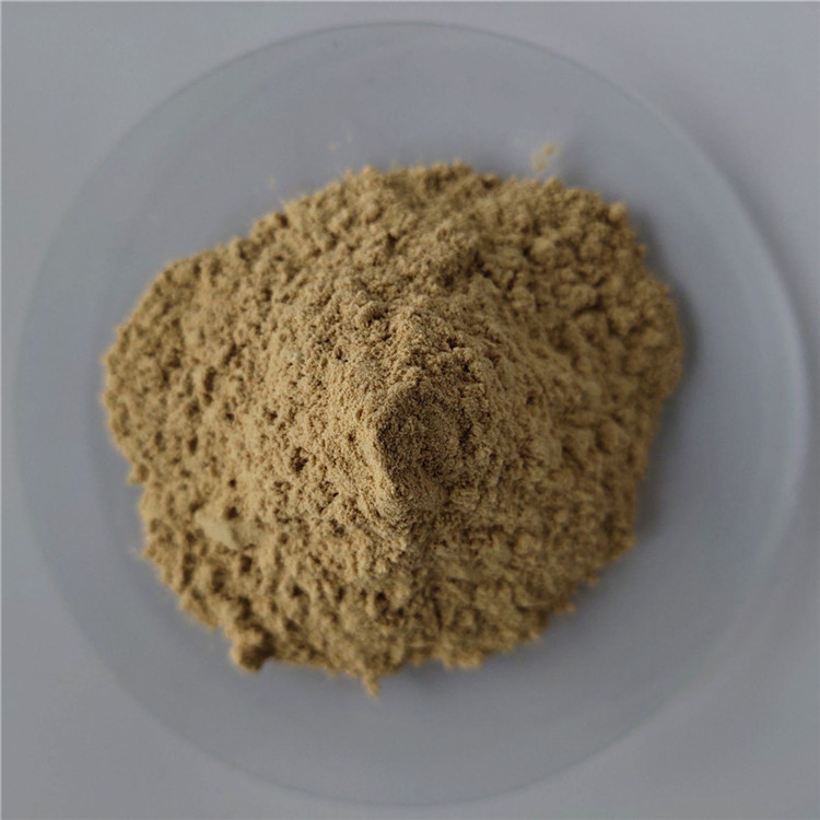 gmp appetite suppressant green coffee bean extract in bulk