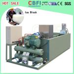 1 ton to 5 ton Direct Cooling Ice Block Machine Africa Market Popular Hot Sale