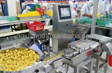 Streamlined Check Weigher Machine New Technology Direct Supply Weight Checking Equipment JZ-W300g