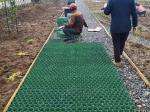 Upgrade Your Outdoor Space with 500*500*50 Plastic Honeycomb Gravel Grass Grid