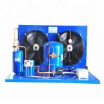 NTZ068 Low Temperature Refrigeration Condensing Unit Blue Color