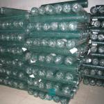 Green Plastic Coating Wire Mesh Fence Rolls Cage Hexagonal Wire Netting