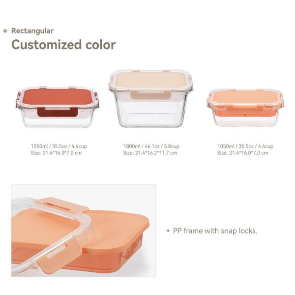 IKOO Double Layer Glass Food Container with Divider