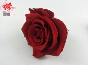 China Japanese preserved red rose flowers for wedding flower stands Natural Fresh flower rose wholesale