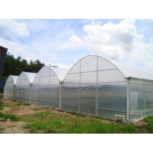 Buy cheap Rainfall 140mm/H Large Green Houses , Dome Style Greenhouse Snow Load 0.45KN/㎡ from wholesalers