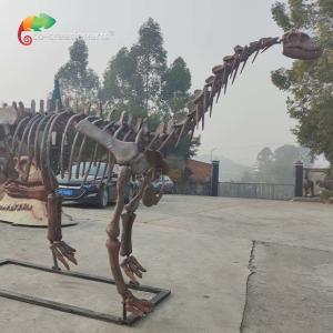 China CE Jurassic Park Dinosaur Skeleton Replica Shunosaurus Skeleton weather reistance wholesale