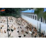 Steel Structure Chicken House Broiler House Farm Shed Poultry Building with