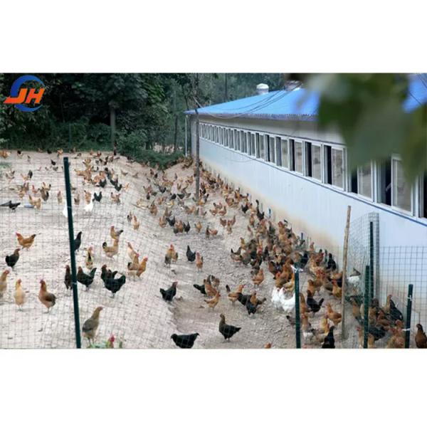 Steel Structure Chicken House Broiler House Farm Shed Poultry Building with