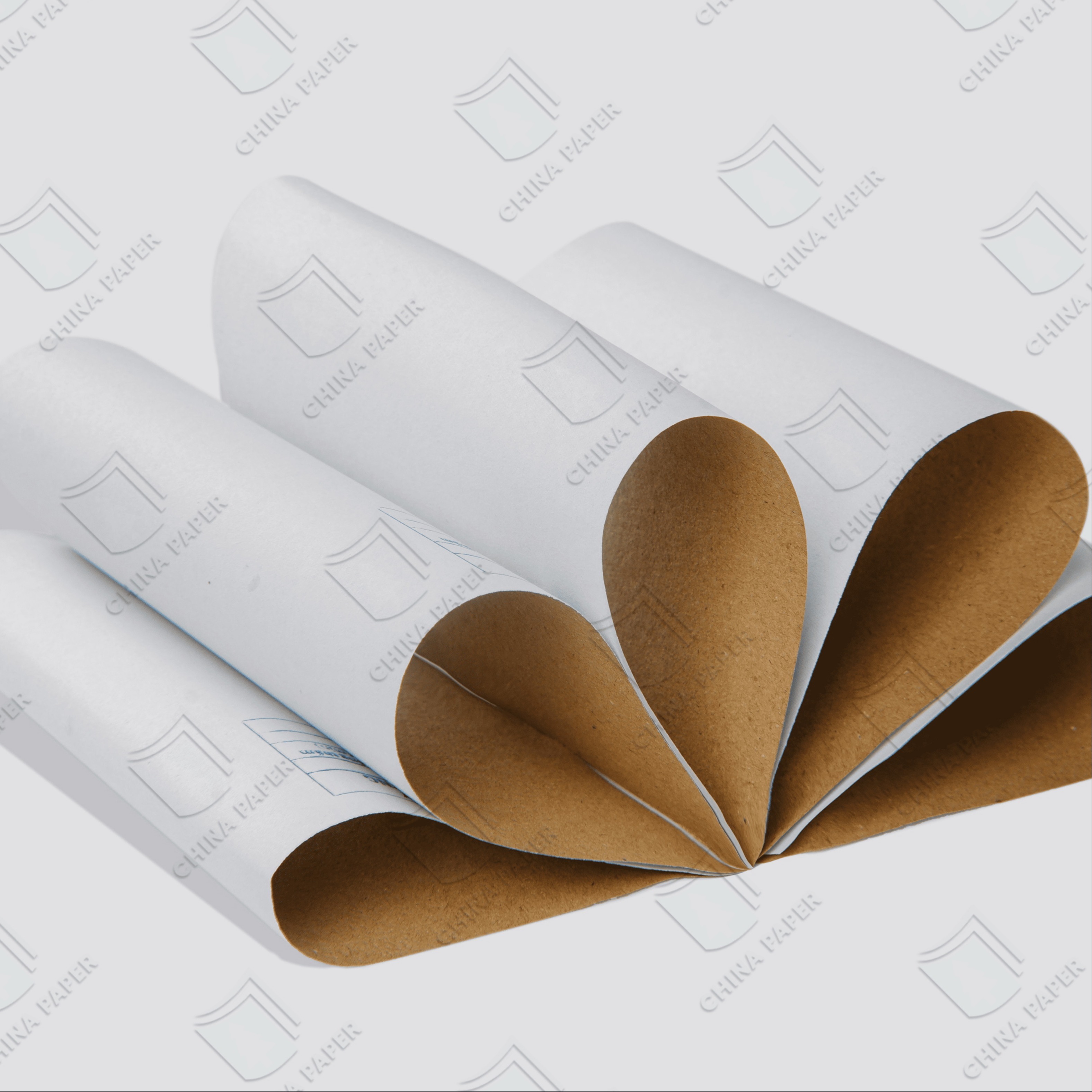 Wrapping Printing White Top Testliner Coated Kraft White Top Liner Board 700*1000mm