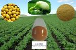 100% Natural 40-80% Isoflavones Fine Powder Soy Extract --Glycine max (L.) Merri