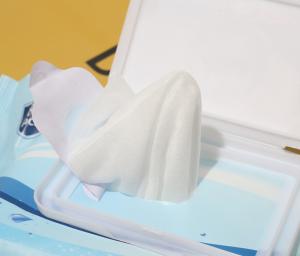 China Disposable Antibacterial Wipes 75 Alcohol 100pcs/Bottle OEM wholesale