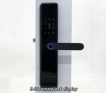ELA Door LocksLuxury Style Electric Safety Handle Digital Tuya Ttlock Intelligen