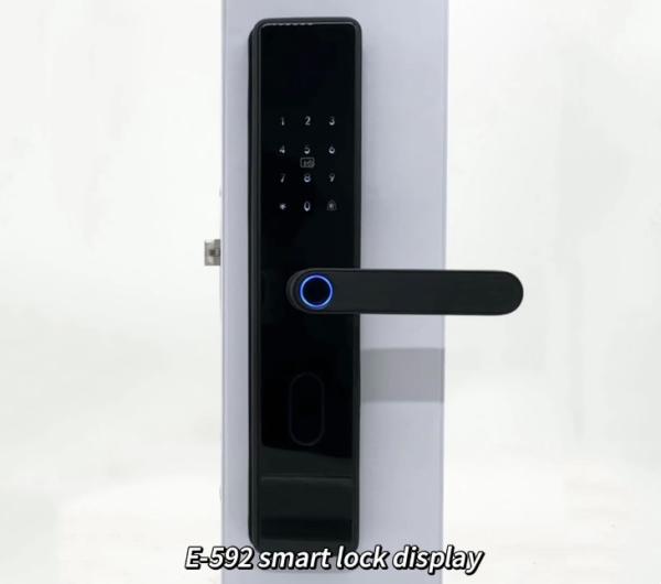 ELA Door LocksLuxury Style Electric Safety Handle Digital Tuya Ttlock Intelligen