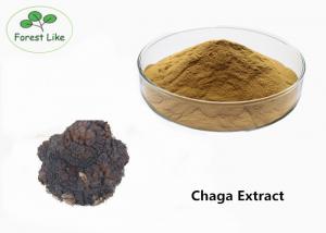 China Pure Chaga Mushroom Extract Powder 50% Polysaccharides Cure Skin Diseases wholesale