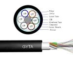 External Aerial Fiber Optic Armoured Cable G652D GYTA 24B1.3 2km 4km Per Roll