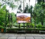 Energy Saving Outdoor P10 Creative LED Display , Waterproof LED Display Special