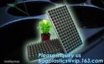 plastic plant vegetable nursery high quality seedling trays wholesale,98/105/128