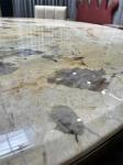 Top Round Kitchen Marble Contemporary Luxury Dining Table Set 6