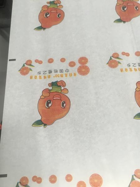 Sticker series fully automatic label barcode printer RY320 colors paper roll to