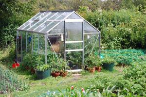 China 4mm Superior Tempered Patterned Glass Panel for Plants Growing Greenhouse wholesale