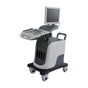 China BPW Mobile Digital Color Doppler Ultrasound System 15in LED Display wholesale