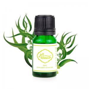 China MSDS Pure Plant Essential Oil , 10ml Organic Eucalyptus Essential Oil on sale