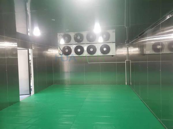 100 Square Meter Cold Storage Room -18­°C Stainless Steel Frozen Meat Freezer