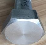 DIN 931 Stainless Steel 316 Pan Head Screw Half Thread Screw Zinc Plate Surface