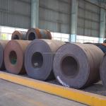 Q345 SG295 0.5mm 2mm Hot Rolled Steel Coils for Buildings Non-Alloy and