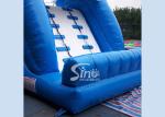 5m high cute dolphin kids inflatable water slide with pool meeting with EN14960