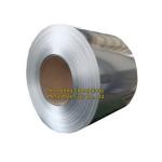 304 316 3mm Stainless Steel Sheet Coil 500mm - 3000mm Length 321 304 309S