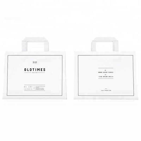 Rigid Glossy White Laminated Gift Bags Offset Printing Book Packaging