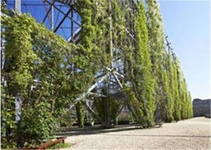 China Ferrule Stainless Steel Cable Trellis 1.2mm Rope Diameter For Plant Climbing wholesale