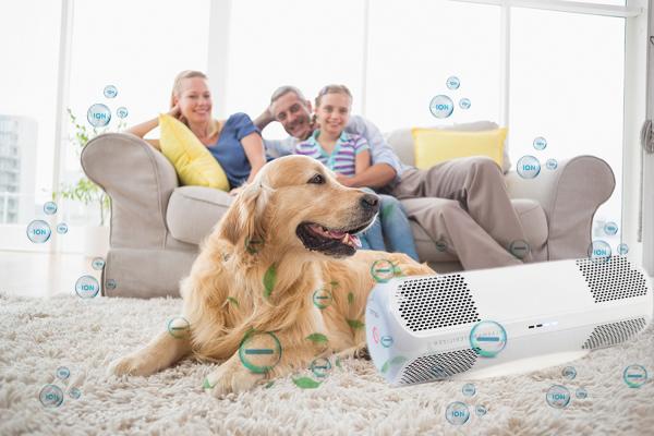 ABS Air Disinfector with Private Mold Kills H1N1 Flu Viruses Bacteria Fungi OEM