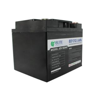 China Deep Cycle 12V LiFePO4 Battery 60Ah Lithium ESS/EV Battery LED Display wholesale