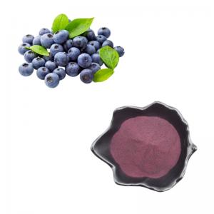 China Pure Natural Fruit Powder Blueberry Powder Extract Anthocyanin Bilberry Extract Powder wholesale
