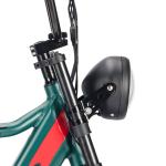 Adult Hybrid Electric Mountain Bike 8 Speed Lithium Battery power supply