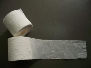 China embossed 2ply Toilet Tissue roll, bath tissue, toilet paper wholesale