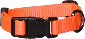 China Solid Color Heavy Duty Martingale Collar Eco Friendly Adjustable Nylon Dog Collar wholesale
