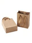 Customized Logo Paper Gift Bags Twisted Handle All Occasion Shoe / Clothing