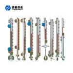 DN25 Side Mounted Magnetic Level Indicator IP65 SS304 For Petroleum Chemical