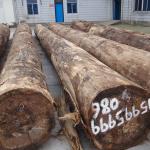 High End Engineered Wood Veneer Brown Cat'S Eye X219 Dark Color Standard Size