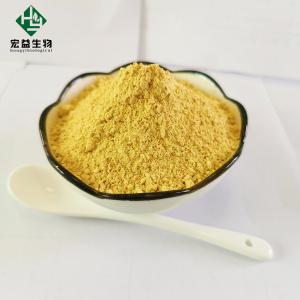 China CAS 21967-41-9 Baicalin Extract Powder 90% Baicalein Powder wholesale