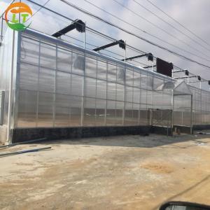 China PC Greenhouse for Multi-Span Agricultural Greenhouses Section 8.0m Strong Structure wholesale