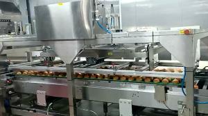 China 380V 50HZ Bread Production Line with Endless SUS Modular Mesh Belt Conveyor wholesale