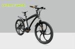 25km/H Electric Mountain Bicycle , Magnesium Alloy Electric Mountain Bikes For